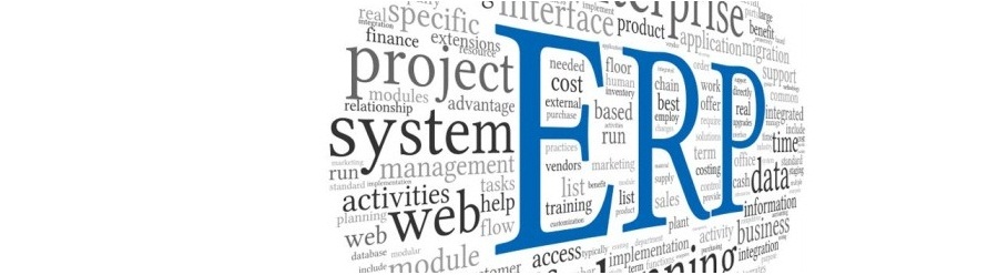 serasoft-ea.com ERP